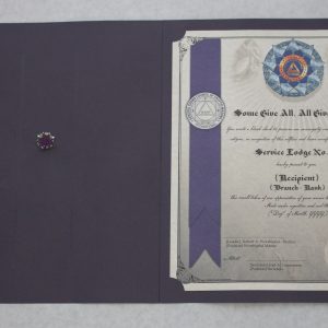 Veteran Recognition Lapel Pin